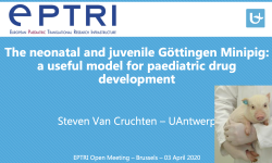 The neonatal and juvenile Göttingen Minipig: a useful model for paediatric drug development